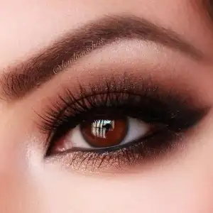 $3cb38d80271b386c315ad6212c687fb3.webp