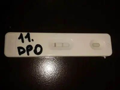 $11.webp