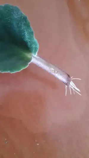 $2014-03-30 13.43.28.webp