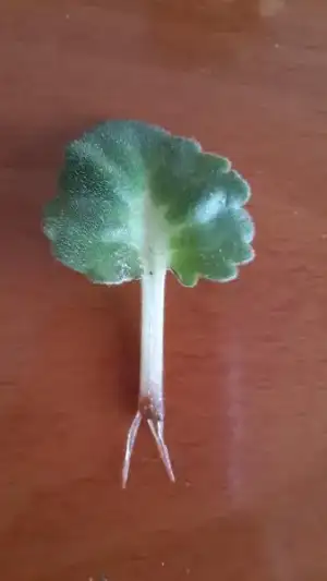 $2014-03-30 13.44.08.webp