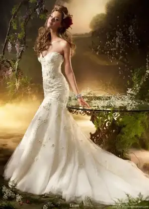 $95908108.webp