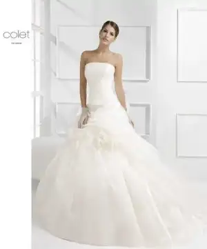$colett.webp