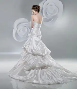 $roberts20111.webp