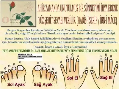 $elayaktrnakkesmesnneti.webp