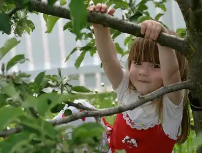 $child-playing-in-garden-500.webp
