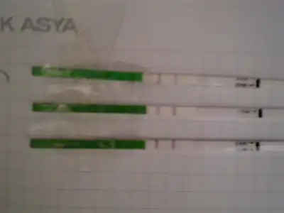 $26032011073.webp