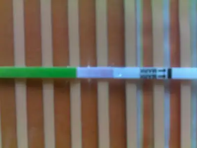$30032011175.webp