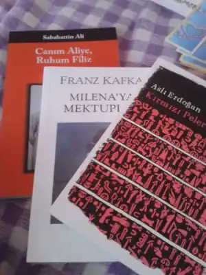 $2.webp