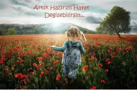 $11-07-2013 09-18-112.webp