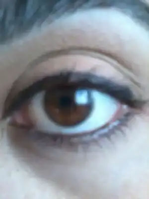 $2014-03-21 15.39.28.webp