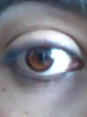 $2014-03-21 15.41.24.webp