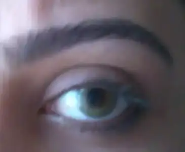 $2013-03-22 13.12.31-1.webp