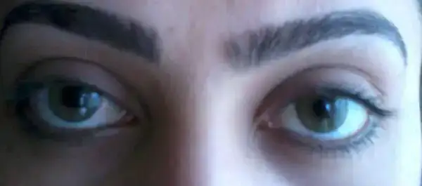 $2013-03-22 13.14.13-1.webp