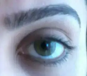 $2013-03-22 13.14.13-1-1.webp