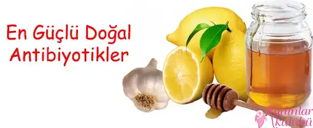 $en_guclu_dogal_antibiyotikler.jpg $en_guclu_dogal_antibiyotikler.jpg