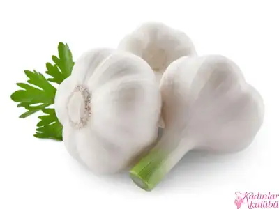 $en_guclu_dogal_antibiyotikler_1_sarimsak.jpg $en_guclu_dogal_antibiyotikler_1_sarimsak.jpg