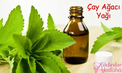 $en_guclu_dogal_antibiyotikler_3_cay_agaci_yagi.jpg $en_guclu_dogal_antibiyotikler_3_cay_agaci_yagi.jpg