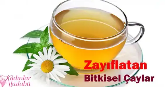 $ev_yapimi_dogal_zayiflama_cayi_tarifleri_1 (1).webp
