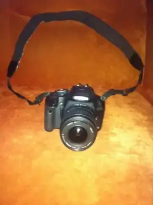 $1397861437179.webp
