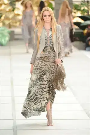 $cavalli.webp
