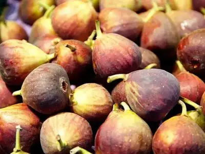 $zayiflatan_10_yaz_yiyecegi (8).webp