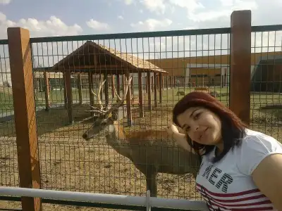 $280920132097.webp