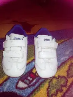 $puma 24.webp