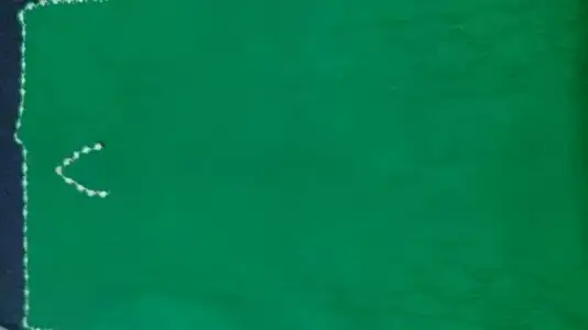 $1398687196478.webp