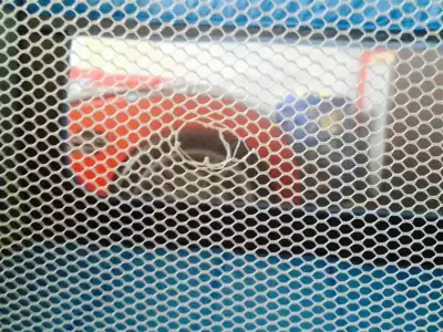 $fotoÃ°raf 3 (5).webp