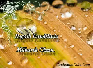 $regaib_kandili_6gonlumungul.webp