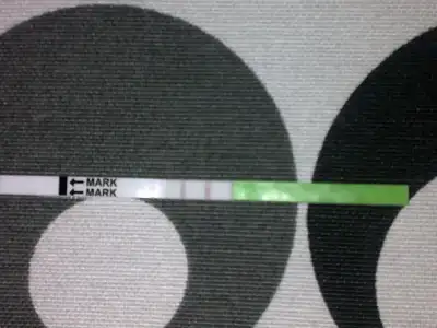 $03042011209.webp