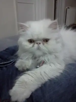 $IMG20110307_008.webp