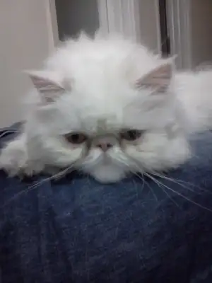 $IMG20110307_004.webp