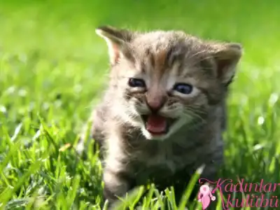 $hamilelere_13_uzman_onerisi (11).webp
