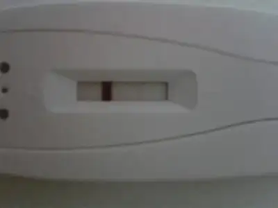 $1399431319894.webp