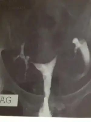 $ImageUploadedByKadÃÂ±nlar KuluÃËbuÃË1399460054.440440.webp