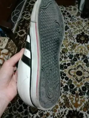 $1399653752194.webp