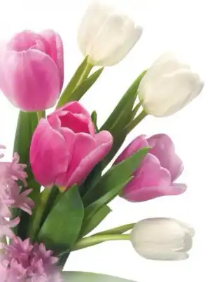 $ImageUploadedByKadÃÂ±nlar KuluÃËbuÃË1399786428.906689.webp