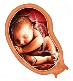 $Osman TuÃ°ra.webp