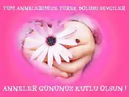 $anne 2.webp