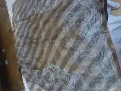 $2014-05-11 00.17.09.webp
