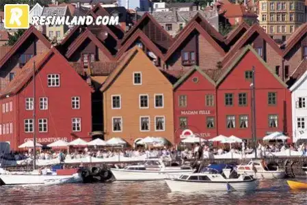$resimland-norvec-resim.webp