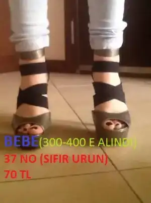 $10370452_10154121927790468_4142460072357821237_n.webp