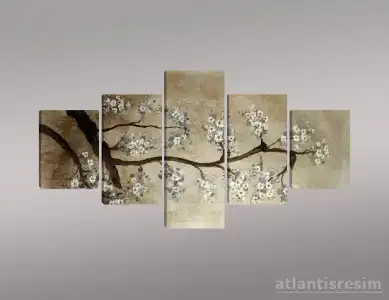 $aÃ°aÃ§ dalÃ½.webp