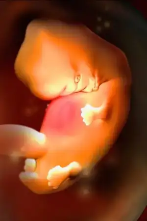 $ImageUploadedByKadÃÂ±nlar KuluÃËbuÃË1400360195.838328.webp