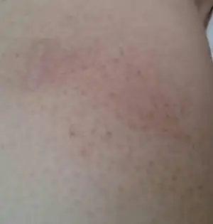 $1400505269328.webp