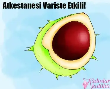 $varisten_kurtulmanin_15_yontemi (10).webp