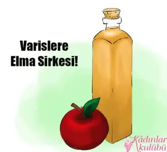 $varisten_kurtulmanin_15_yontemi (11).webp