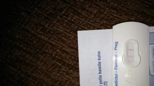 $1400862312286.webp