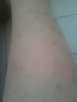 $2014-05-23 20.30.46.webp